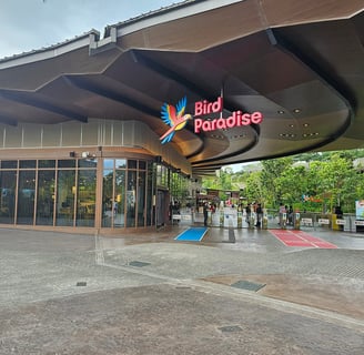 Bird Paradise at Singapore