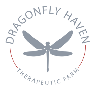 a dragonfly logo for the dragonfly haven therapeutic farm