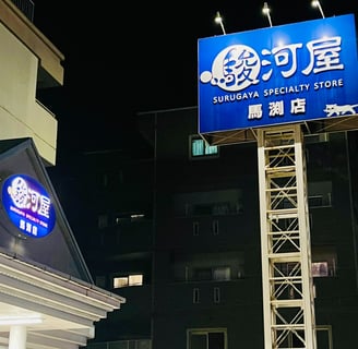 A Surugaya Specialty Store