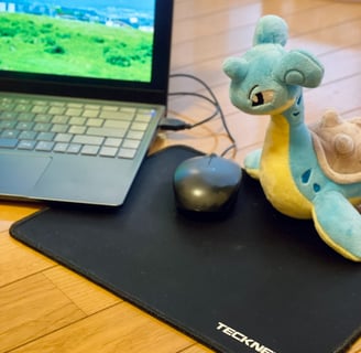 Mt. Fuji, Pokémon, and TECKNET