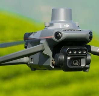 drones professionnels