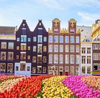 Amsterdam - a flower bed of tulips in front of a building