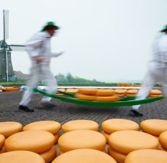 Dutch cheese