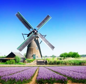 a windmill windmill in the middle of a field of lavender flowers