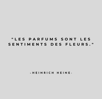 a quote from the famous french writer of the novel, les parfums