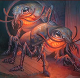 Fire Beetles