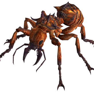 Irradiated Giant Ant