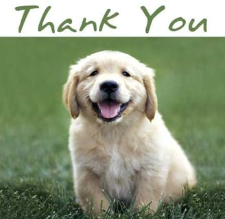 Thank you