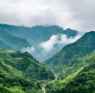 Imagine yourself standing at the base of Yushan, the highest peak in Taiwan, surrounded by a sea of 