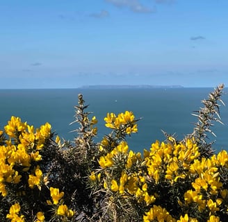 Lundy island off the coast in Woolacombe bay