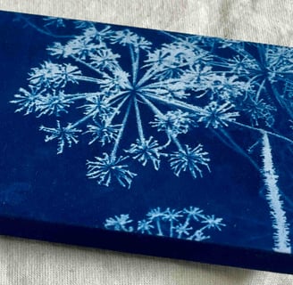 Frost, cyanotype