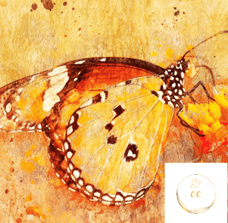 peinture orangée brun, butterfly