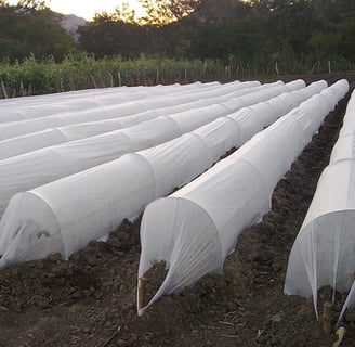 Agriculture Non Woven fabric