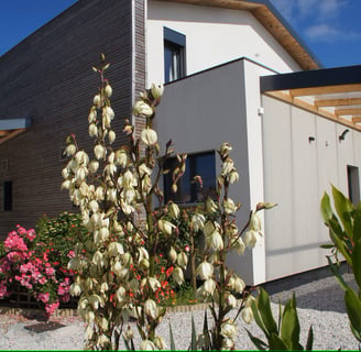 maison à louer à Arès