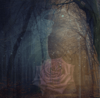 the bone temple, a healing constellation for black moon liliths shadow