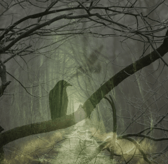 shadowy crow on a branch symbolising the nature of shadow like an exile