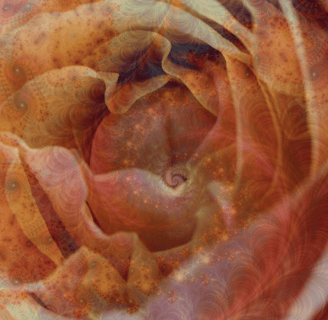 Mother rose, the spiral of blooming and healing in sacred time