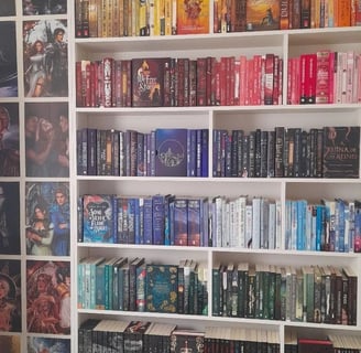 a room with a well-organized bookshelf and a few posters