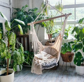urban jungle