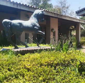 a statue of a horse in a garden