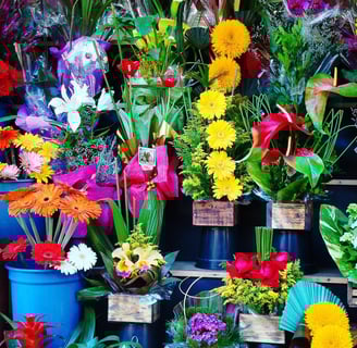 dried flower wholesaler
