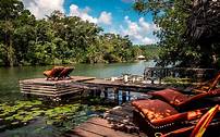 Resorts in the Amazonia rain forest.