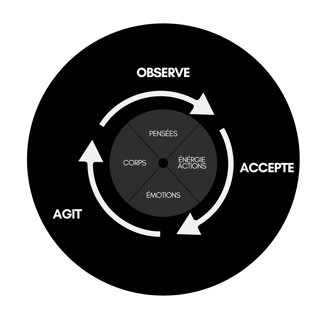 alignement, Shaman, énergétique, développement personnel, transformation