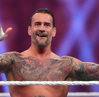 cm punk dichiarazioni