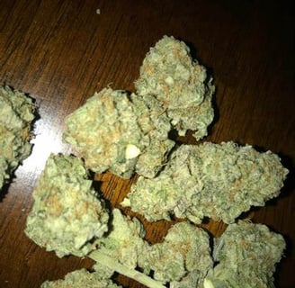 amnesia haze strain