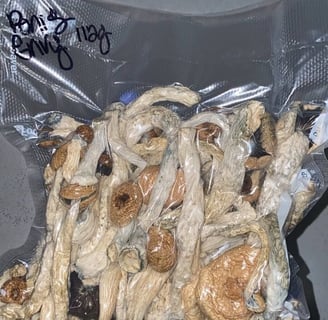 Psilocybin Mushroom Shops in Perth WA