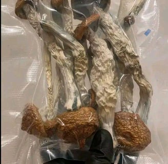Magic Mushroom Chocolate Bars Near Me in Australia: A step-by-step tutorial