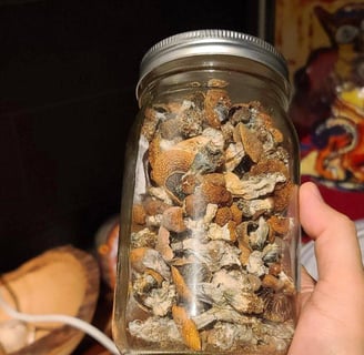 Buying Magic Mushrooms in Australia: The Best Sites Revealed!