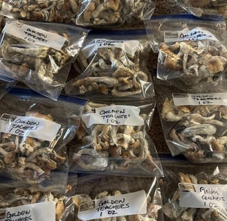 Magic Mushrooms Shop: A Trustpilot Review