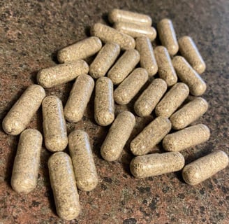 psilocybin microdosing treatment in Geelong, Victoria