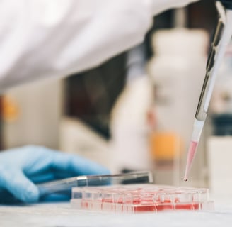 researcher pipetting media into mammalian cell culture plate