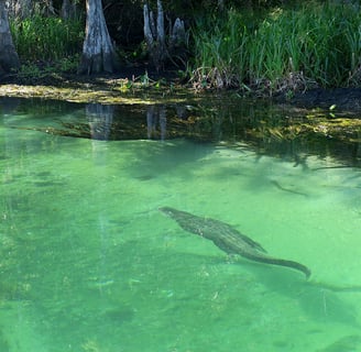 Wakulla County