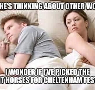 cheltenham festival funny meme