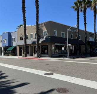 Solana Beach Mold Inspection and Testing