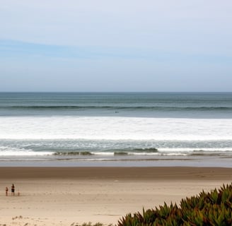 Coastal Humidity & Mold Prevention