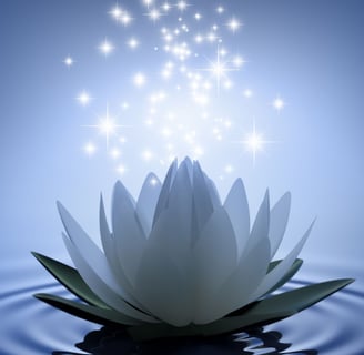 a white lotus flower with stars above water