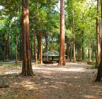 eco-friendly teak furnishings