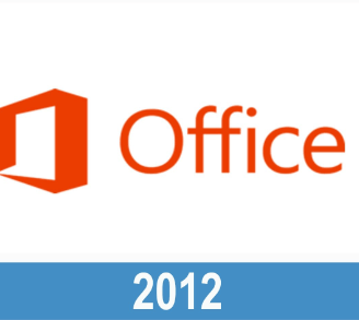 Microsoft Office Version Developer