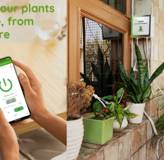 Smart Watering System for Plants