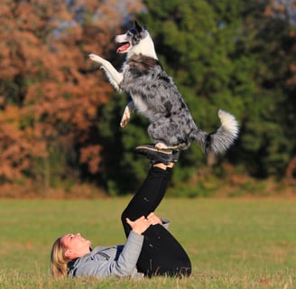 K-SCOOPS.com | Mindful Moments - Dance Pawsitively: Creating Magical Moments with Your Pet