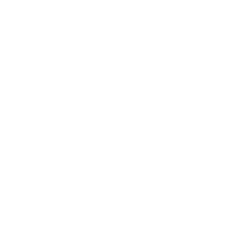 water wings logo