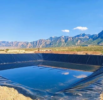 Geomembrane