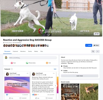 Aggressive and Reactive Dog Success Group on Facebook