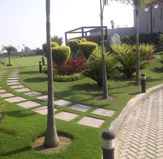 Green roofing solution for commercial building in urban area