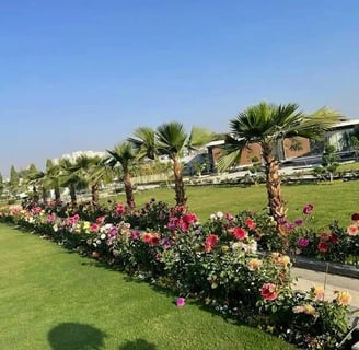 Urban green wall system promoting environmental sustainability