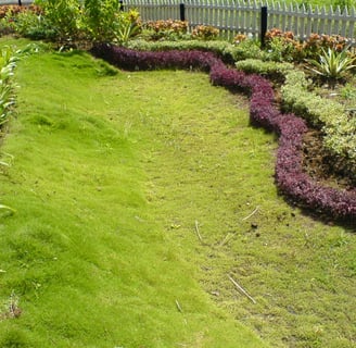 Eco-friendly vertical garden installation by Urbanspike Agro Fresh Pvt Ltd